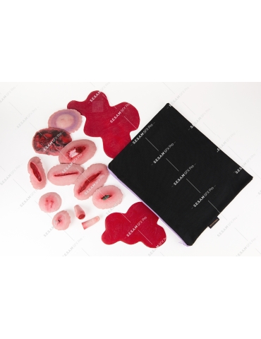 Trousse 10 plaies secourisme