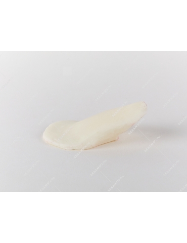 os en résine pour simuler une fracture