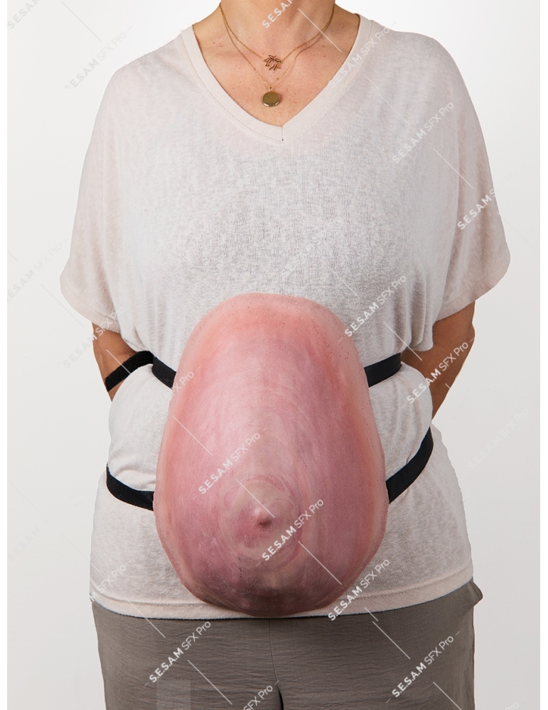 Ventre femme enceinte