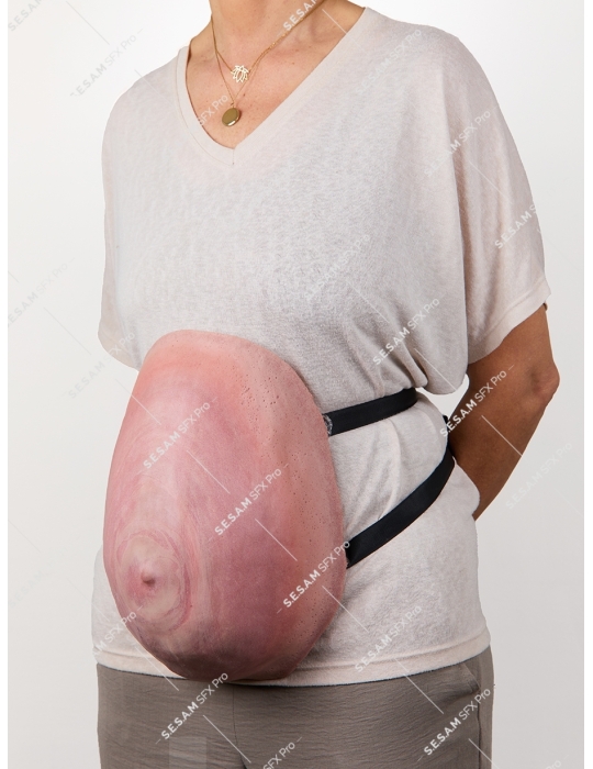 Ventre femme enceinte