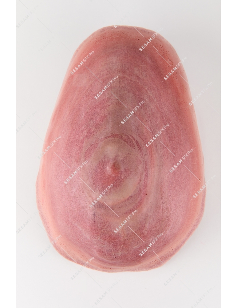 Ventre femme enceinte