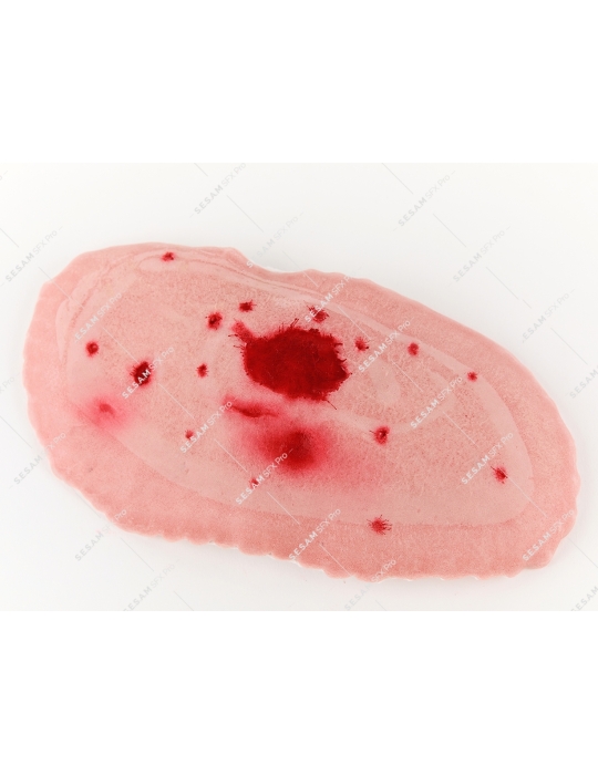 Polycriblage