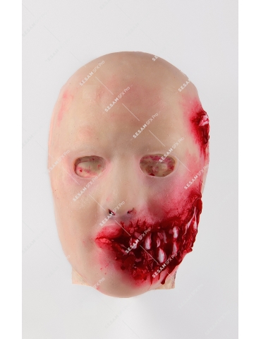 Machoire délabrée 2