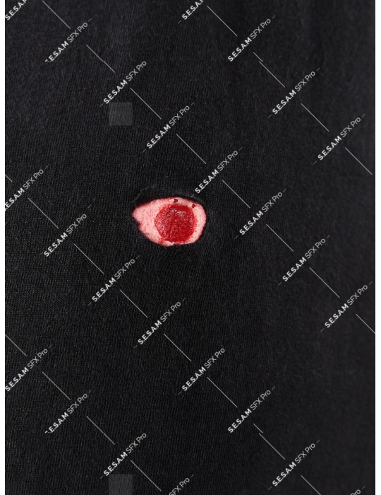 Plaie par balle 1 entrée