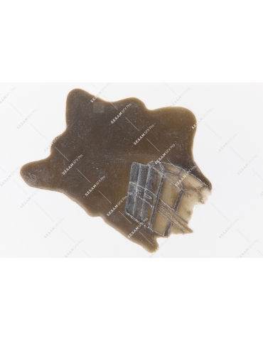 Flaque d'huile de vidange trace de pas