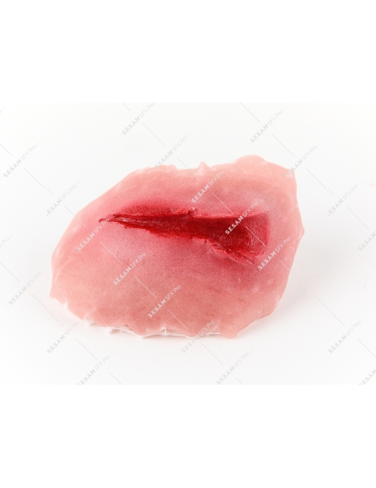 outils pour formation SST PCS1