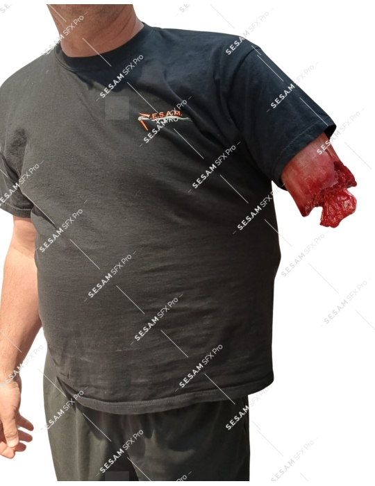 Bras sectionné pour entrainement garrot damage control